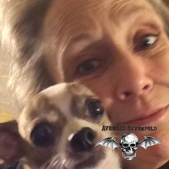 Meet your Posher, Debbie - Picture 1 of 1